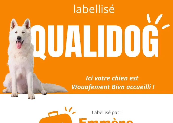 Gite La Perle D\'Alsace