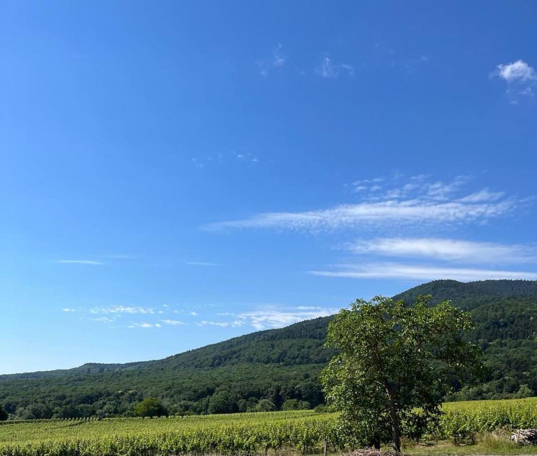 Сasa de vacaciones La Perle D'alsace Bernardswiller